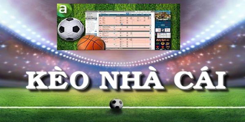 Soi kèo nhà cái đa dạng, tỷ lệ thắng cao