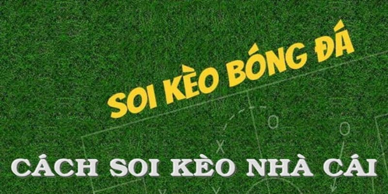 Kinh nghiệm soi kèo nhà cái bất bại